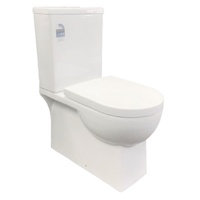 Ceramic Toilet Suite Back to Wall Model Rimini GC99B
