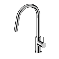 Pull Out Sink Mixer | Dolce II