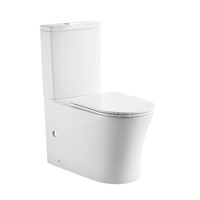 Ceramic Toilet Suite Back to Wall Tornado Flush - Matte White | Flush Buttons