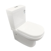 Ceramic Toilet Suite Back to Wall Model Taormina GC69