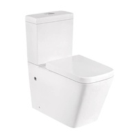 Ceramic Toilet Suite Back to Wall Model Lucca GC70