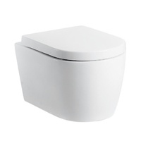 Ceramic Toilet Suite Concealed Cistern Wall Hung Model Marina GC89H