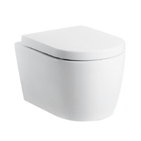 Ceramic Toilet Suite Concealed Cistern Floor Pan | Nero Buttons
