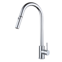 XACTA Stainless Steel Gooseneck XPRESSFIT retractable dual spray Mixer