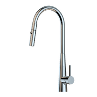 XCEL Stainless Steel Gooseneck XPRESSFIT retractable dual spray mixer with conical base