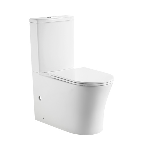 Ceramic Toilet Suite Back to Wall Tornado Flush - Matte White | Flush Buttons